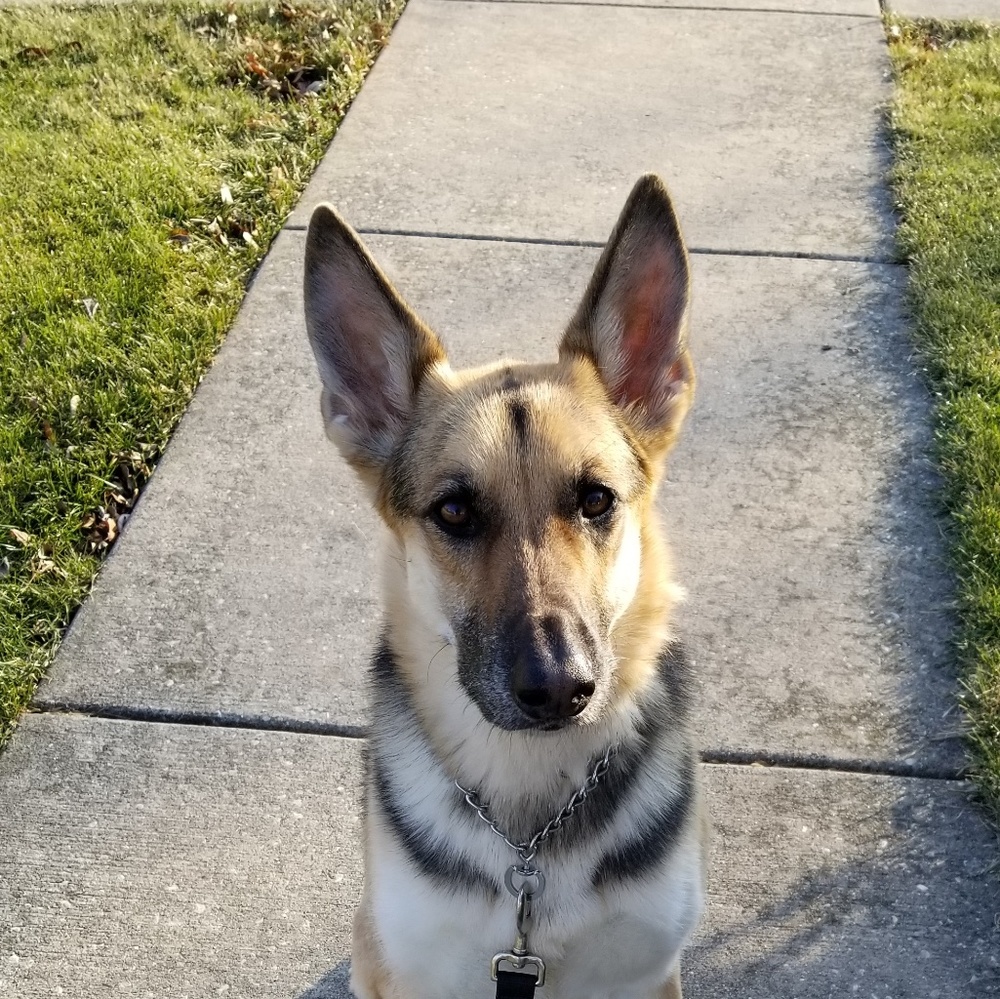 Meet your Posher, Laura